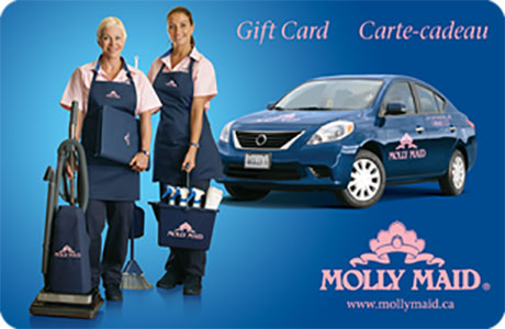 Molly Maid International CAD